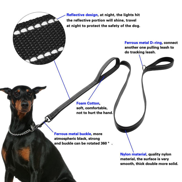 Dog Leash