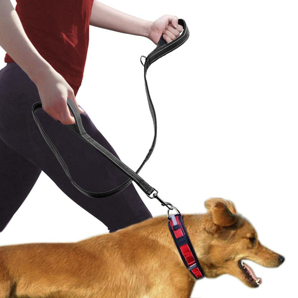 Dog Leash