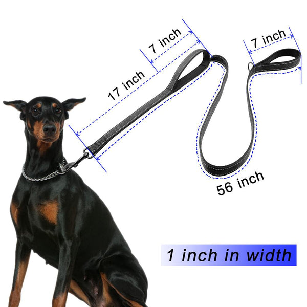 Dog Leash