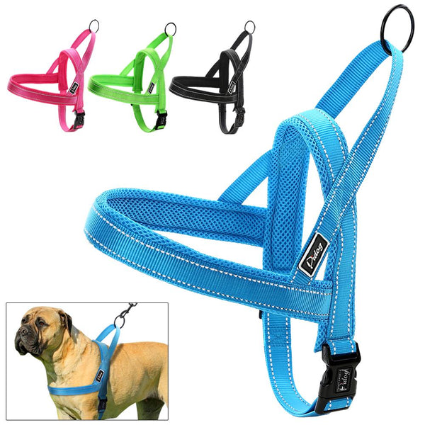Сute Dog Harness