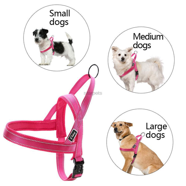 Сute Dog Harness