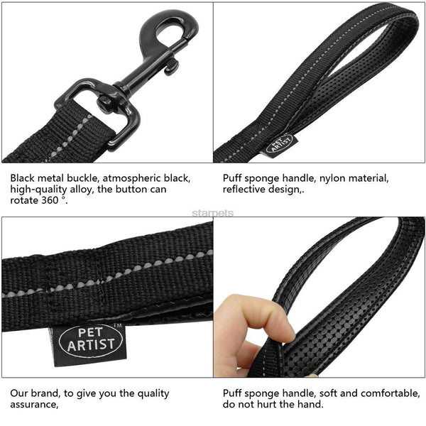 Leash with rubber band