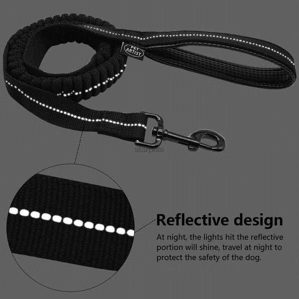 Leash with rubber band