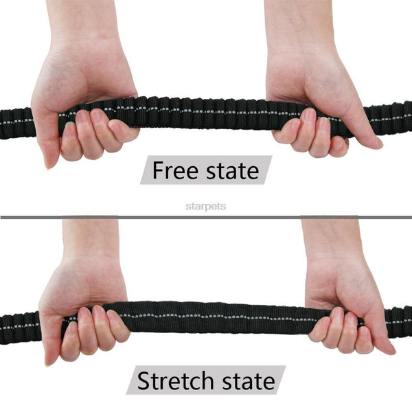 Leash with rubber band