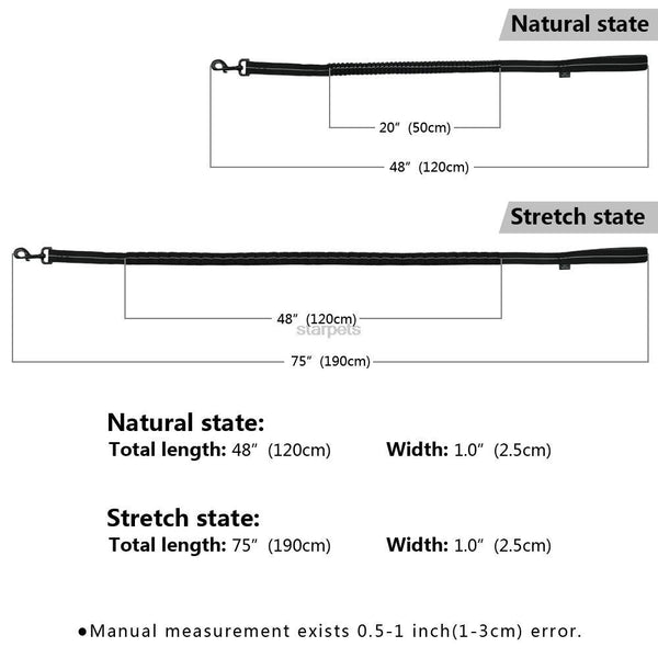 Leash with rubber band