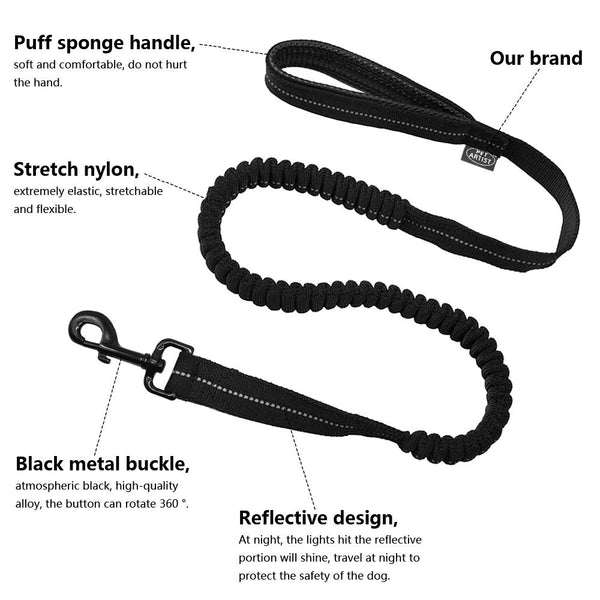 Leash with rubber band