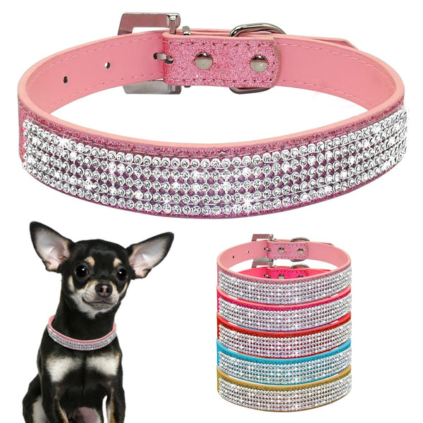 Leather Dog Collars