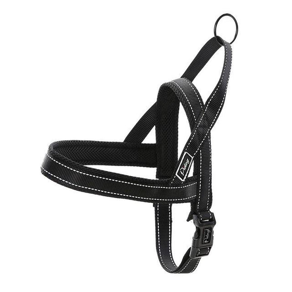 Сute Dog Harness