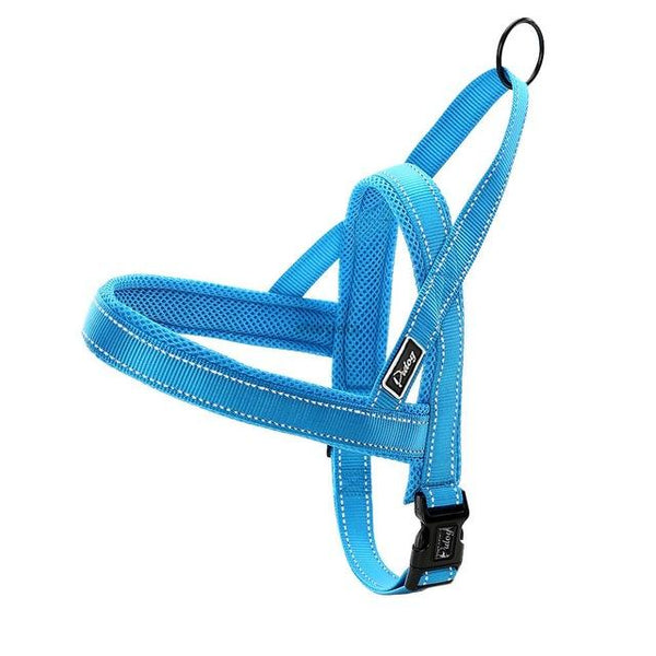 Сute Dog Harness