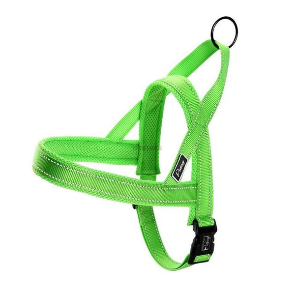Сute Dog Harness