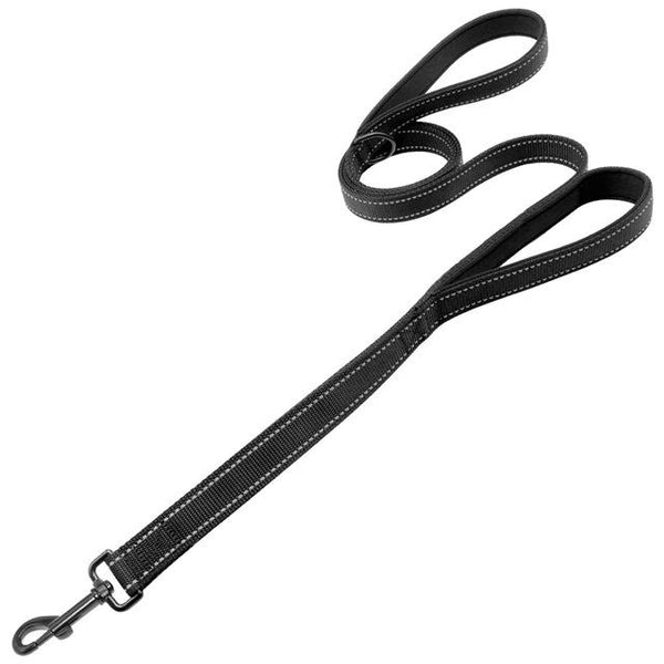 Dog Leash