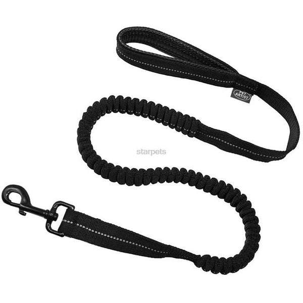 Leash with rubber band