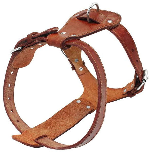 Collar Dog Harness