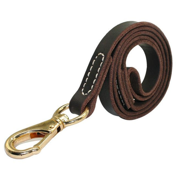 Great Collar Dog