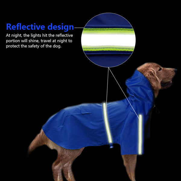 Raincoat For Dogs