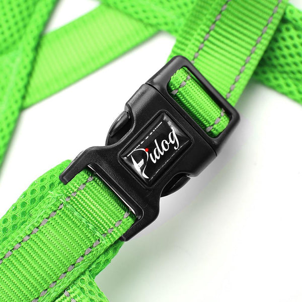 Сute Dog Harness