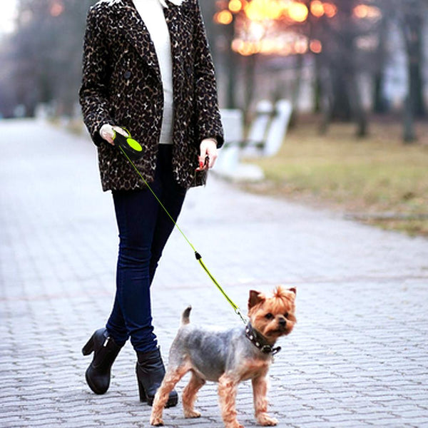 Retractable Dog Leash