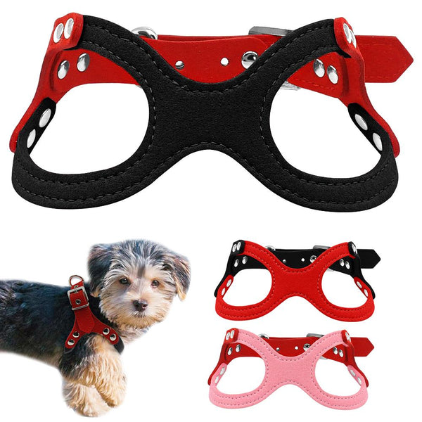 Dog Collar for Puppies