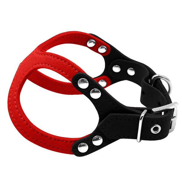 Dog Collar for Puppies