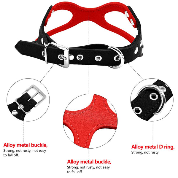 Dog Collar for Puppies