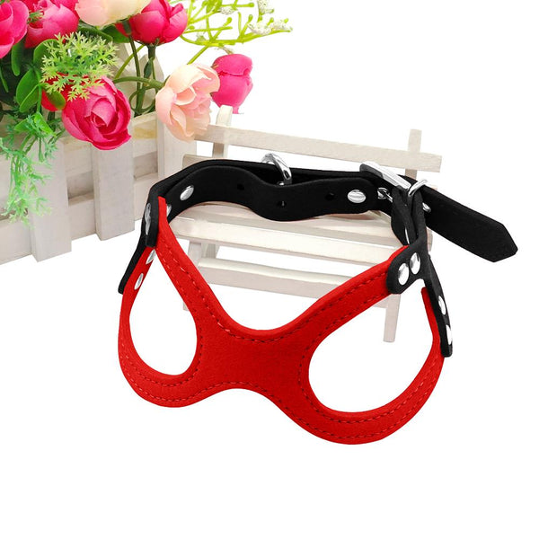 Dog Collar for Puppies