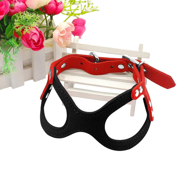 Dog Collar for Puppies