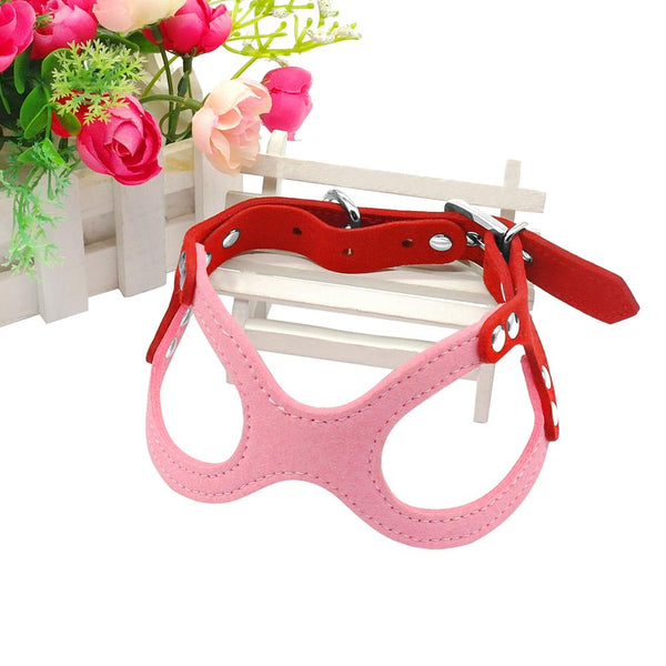 Dog Collar for Puppies