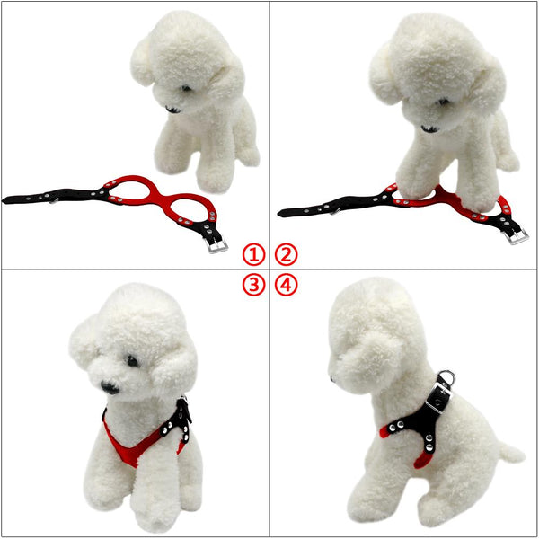 Dog Collar for Puppies