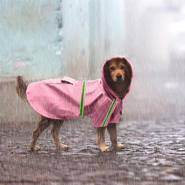 Raincoat For Dogs