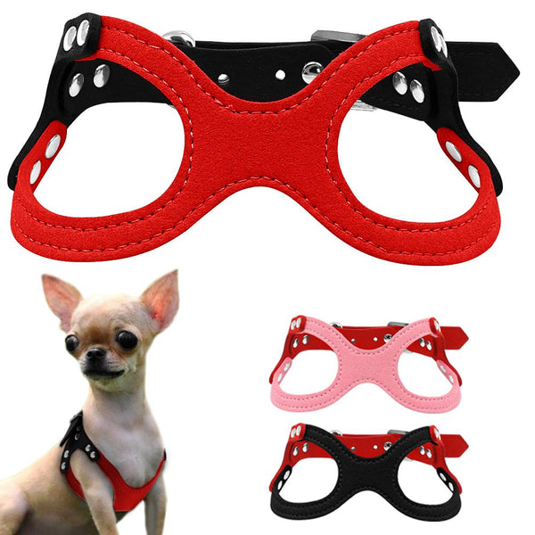 Dog Collar for Puppies