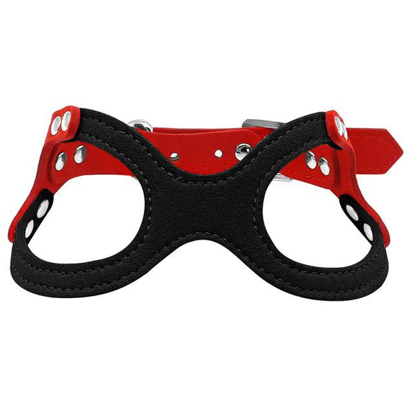 Dog Collar for Puppies