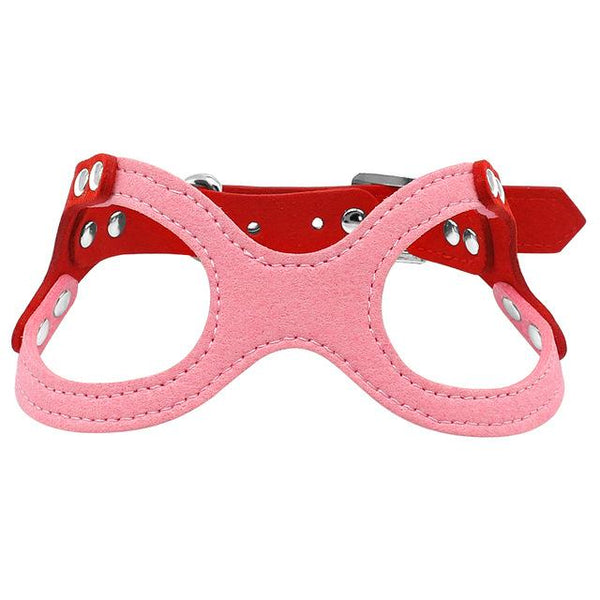 Dog Collar for Puppies