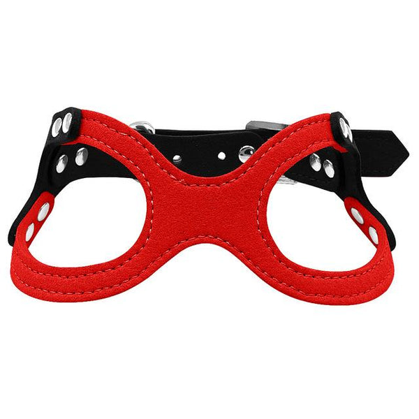 Dog Collar for Puppies