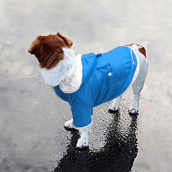 Winter Dog Coat