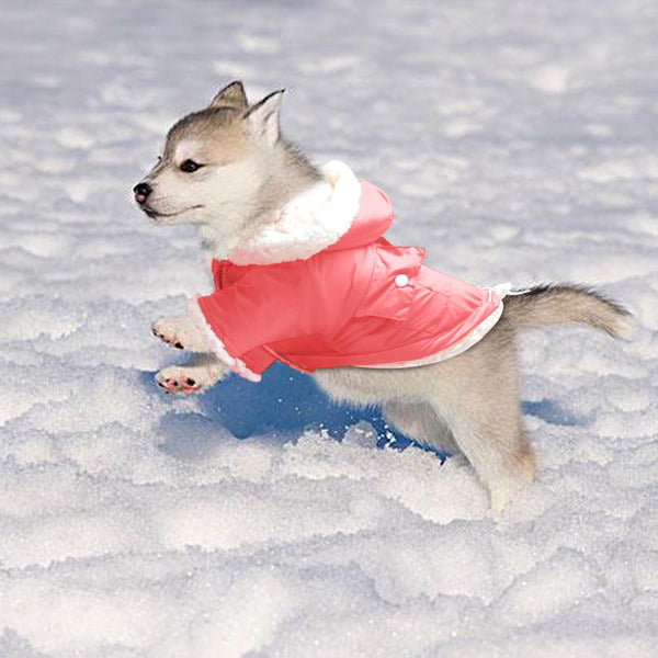 Winter Dog Coat