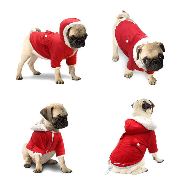 Winter Dog Coat