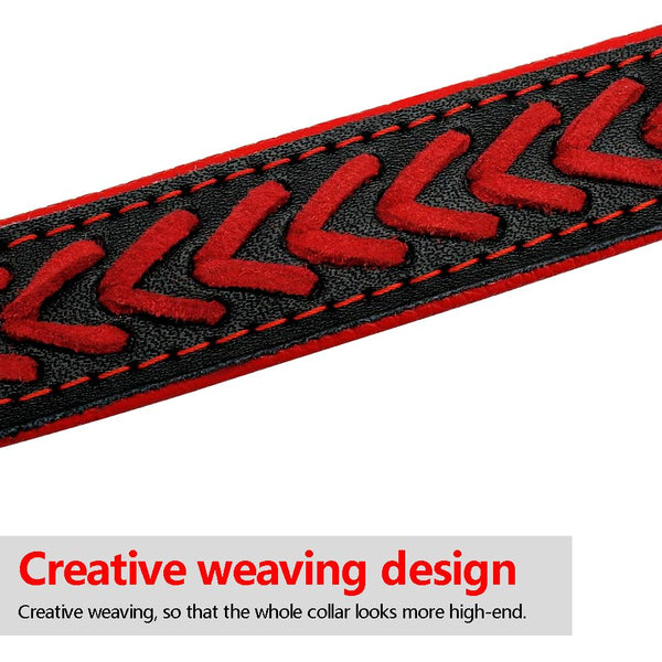 Personalized Engraved Dog Collar