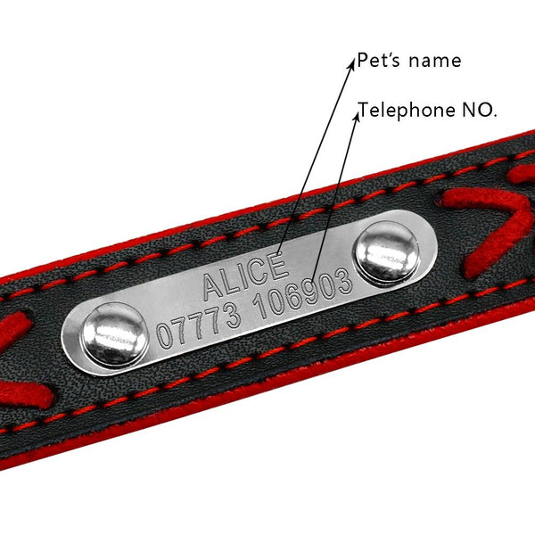 Personalized Engraved Dog Collar