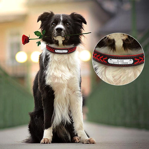 Personalized Engraved Dog Collar