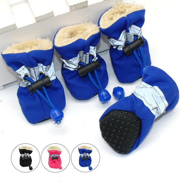 Boots for dogs