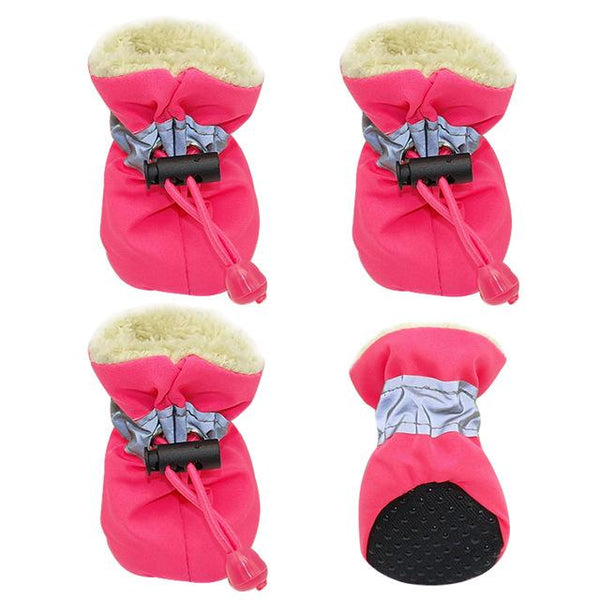 Boots for dogs