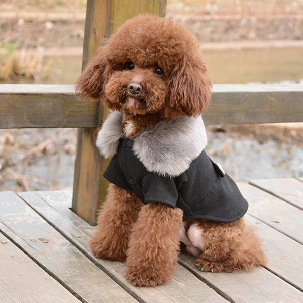 Fashion Winter Dog Coat