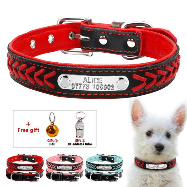 Personalized Engraved Dog Collar