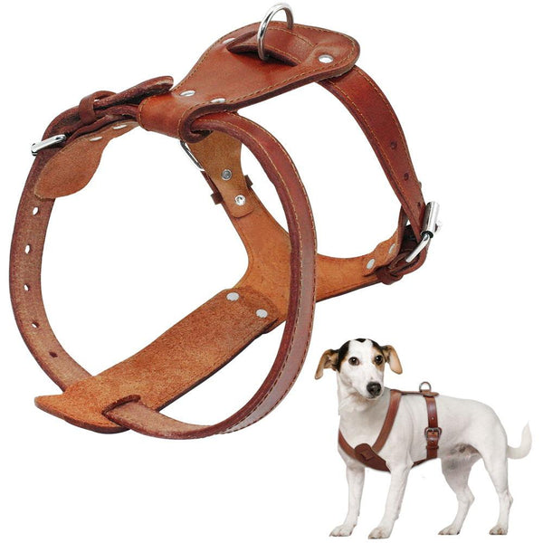 Collar Dog Harness