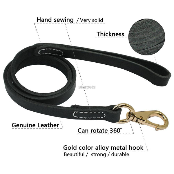 Great Collar Dog