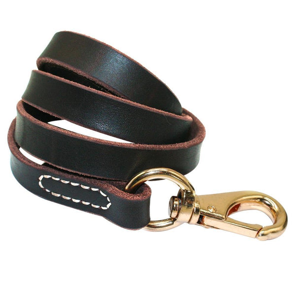 Great Collar Dog