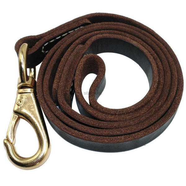 Great Collar Dog