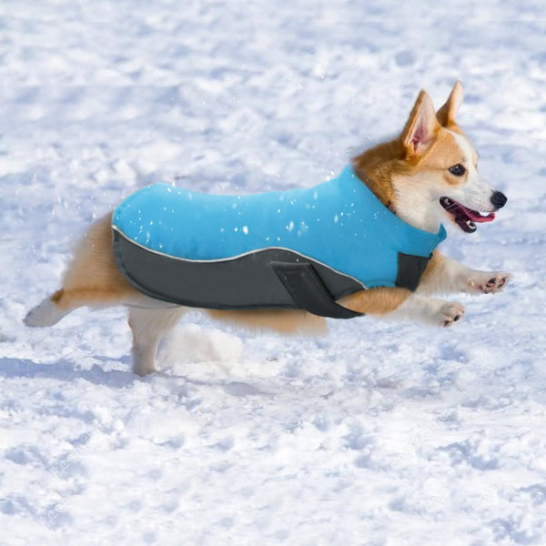 Waterproof Dog Jacket