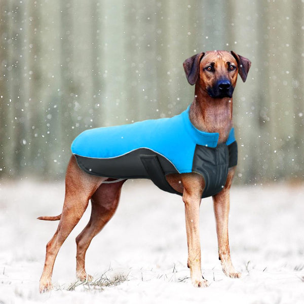 Waterproof Dog Jacket