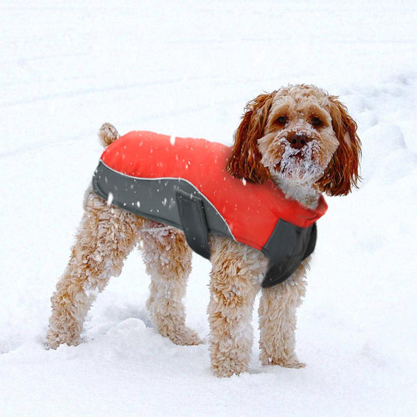 Waterproof Dog Jacket